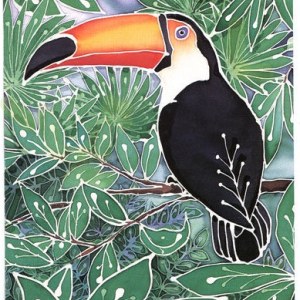 PAT0004Toucan