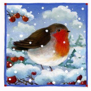 PAT0294Robins&BerriesPLGX Y