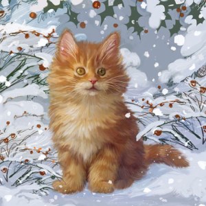 PAT0378 Kitten in the snow