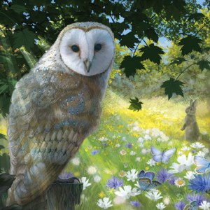 PAT0395 British Wildlife 1 Owl
