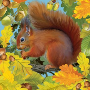 PAT0396 British Wildlife 3 Red Squirrel