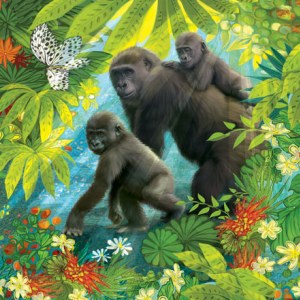 PAT0398 Gorillas