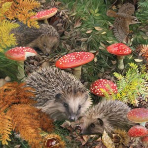 PAT0418 British Wildlife 11 Hedgehogs copy