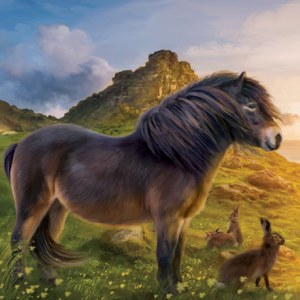 PAT0419 British Wildlife 12 Wild Ponies copy