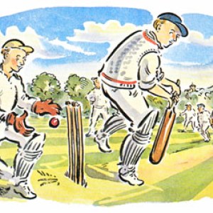 AR PCX0126 The Cricket Match stumps