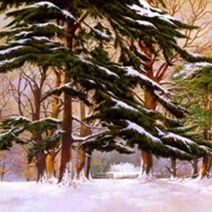 AR PLH0051kenwood housePLMOB