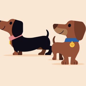 WLS0251 Dachshunds