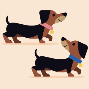WLS0253 Dachshunds