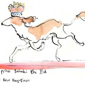 AR SHE0097 hrh saluki copy