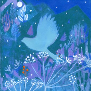 TFL0240 winter dark night flight GUSACAN