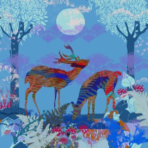 TFL0392 Deer moon PRFUKEX