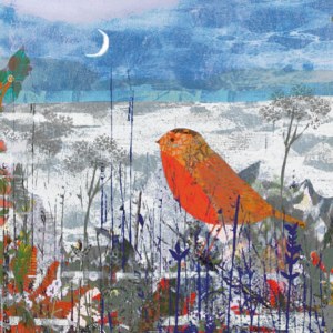 TLF0459 robin winter sky RECOL