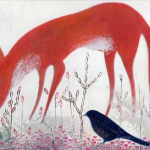 TFL0029prettyfoxTFHRA Y