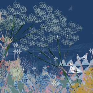 TFL0286 A petal skies Y