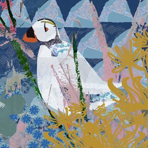 TFL0287 PUFFIN Y