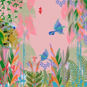 TFL0306 hummingbird sky TFHRA Y
