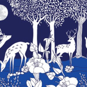 TFL0324 Moonflowers