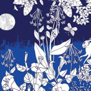 TFL0325 Moonflowers nightjar birdies