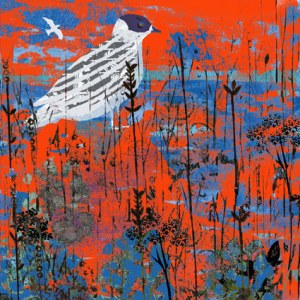 Tiffany Lynch TFL0289 C winter gull sky
