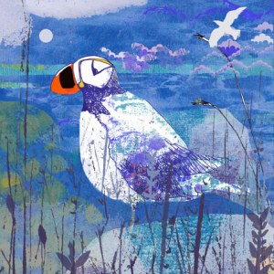 TFLO458 winter sea puffin