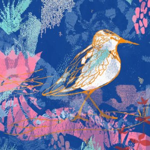 TFL0467 Sandpiper