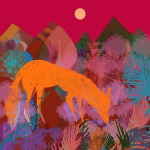 TFL0399 moon fox