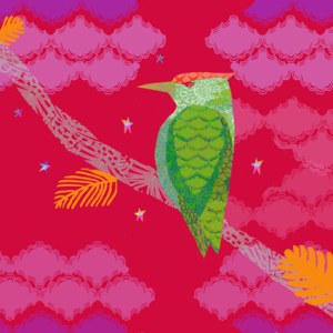 TFL0390 woodpecker stars