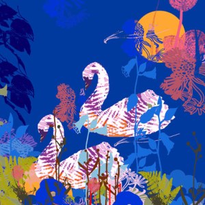 TFL0374 swan lake