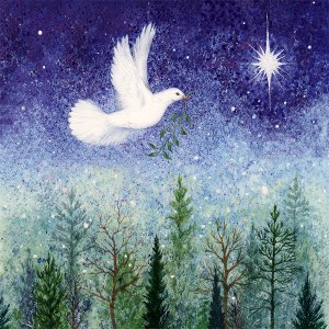 VALERIE GREELEY VG0311 B PLGEXUKNXWW