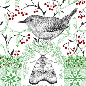 VALERIE GREELEY VG0984  B wren and moth green plgww