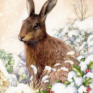 Valerie Greeley VG1033  PLX Hare