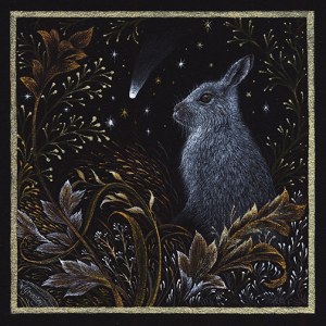 Valerie Greeley VG1036  mountain hare with comet