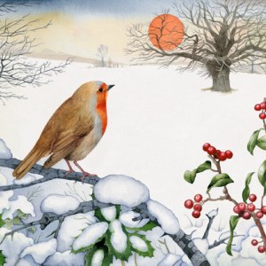 VG0027 December owl.jpg PLX