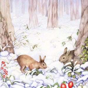 VG0085  snowy rabbits.jpg PLX
