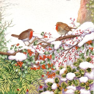 VG0330 December Robins  crop1