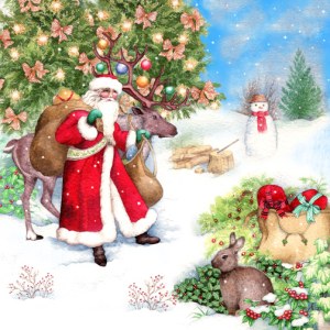 VG0534 santa garden PLX