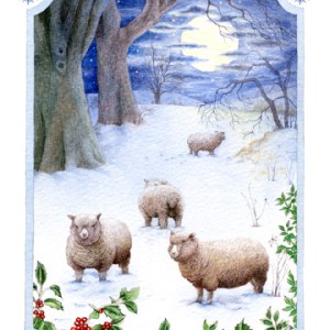VG0729 Sheep in snow with moon TFHRA