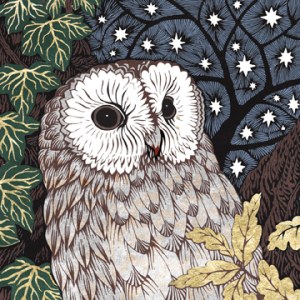 VG0809 Heard by the owl CIBT PLGX