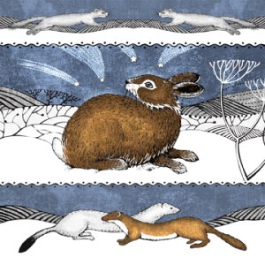 VG0814 rabbit stoat PLGWW 21