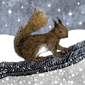 VG0822 squirrel CIBT