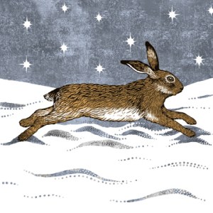 VG0823 winter hare GWWEX
