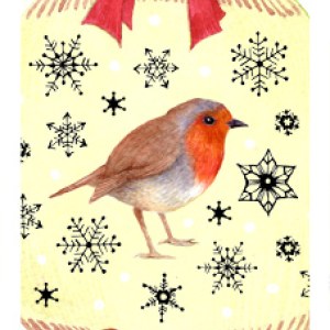 VG0837 robin cracker TFHRA