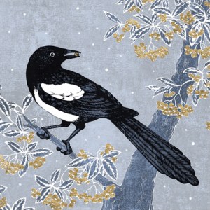 VG0860  magpie Christmas berries  TFHRA