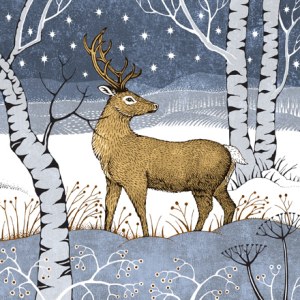 VG0863  woodland stag PLGWW