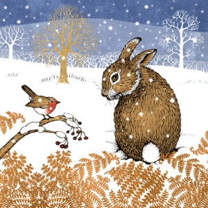 VG0903 Rabbit and Robin PLGWW 23