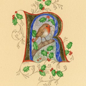 VG0913 R is for robin TFHRA