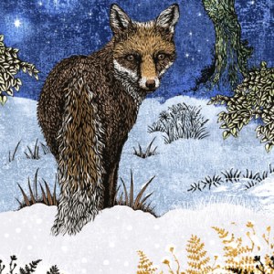 VG0965 Starry fox PW
