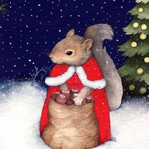 VG999 squirrel santa PLGUSA