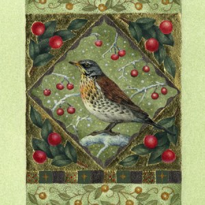 VG1022 Fieldfare