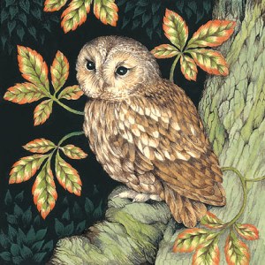 VG1030 owl